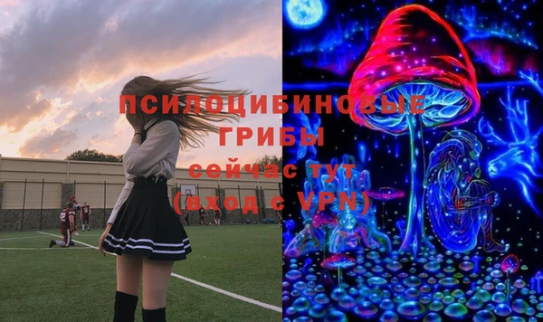 Альфа ПВП Абаза