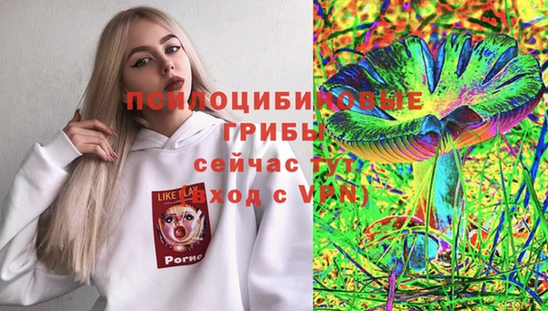 МДПВ Алексеевка
