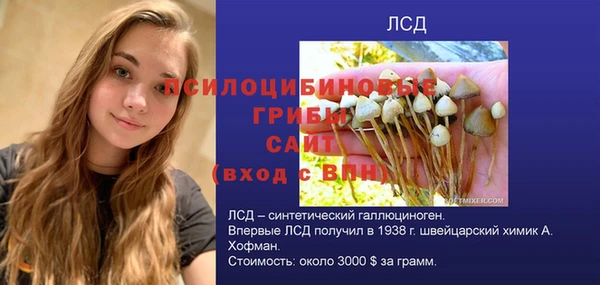 МДПВ Алексеевка
