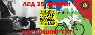 прущие грибы Гатчина