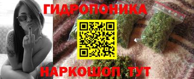 прущие грибы Гатчина
