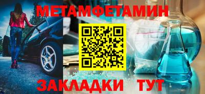 прущие грибы Гатчина