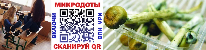 Псилоцибиновые грибы Magic Shrooms  Егорьевск 
